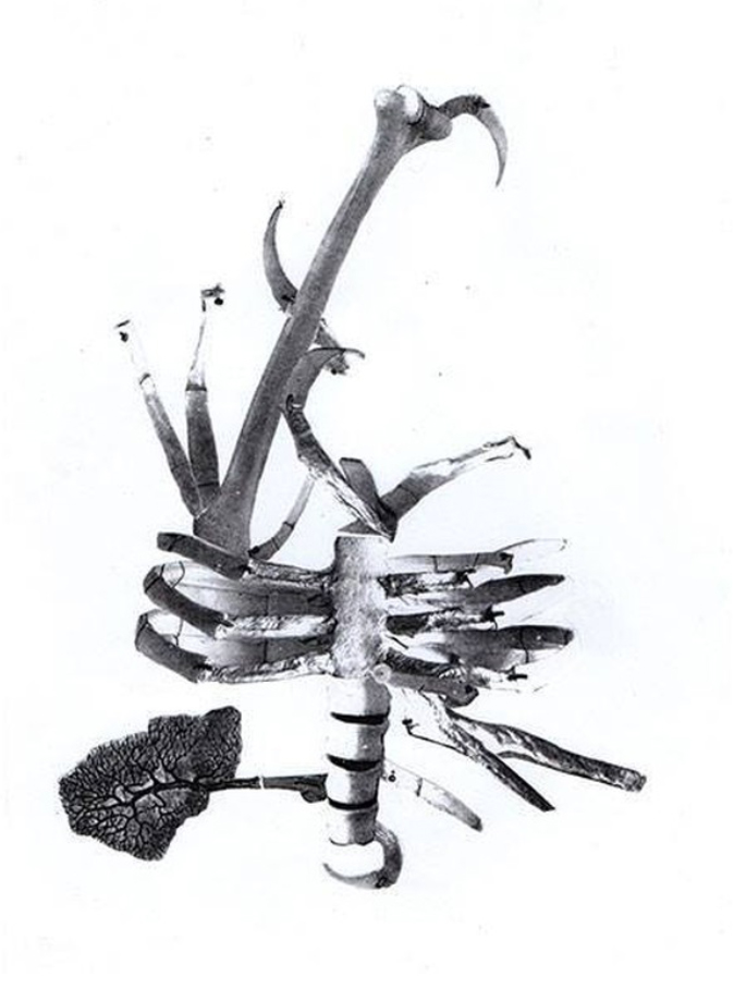 Kolase kafka(25985)